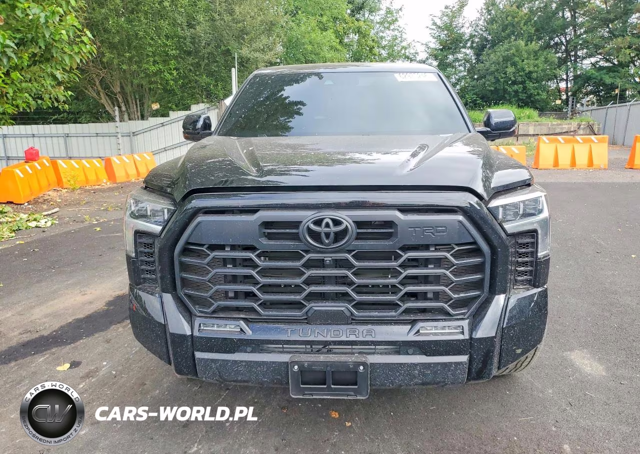 2025 Toyota Tundra Limited VIN:5TFWA5EC1SX045384 - 5