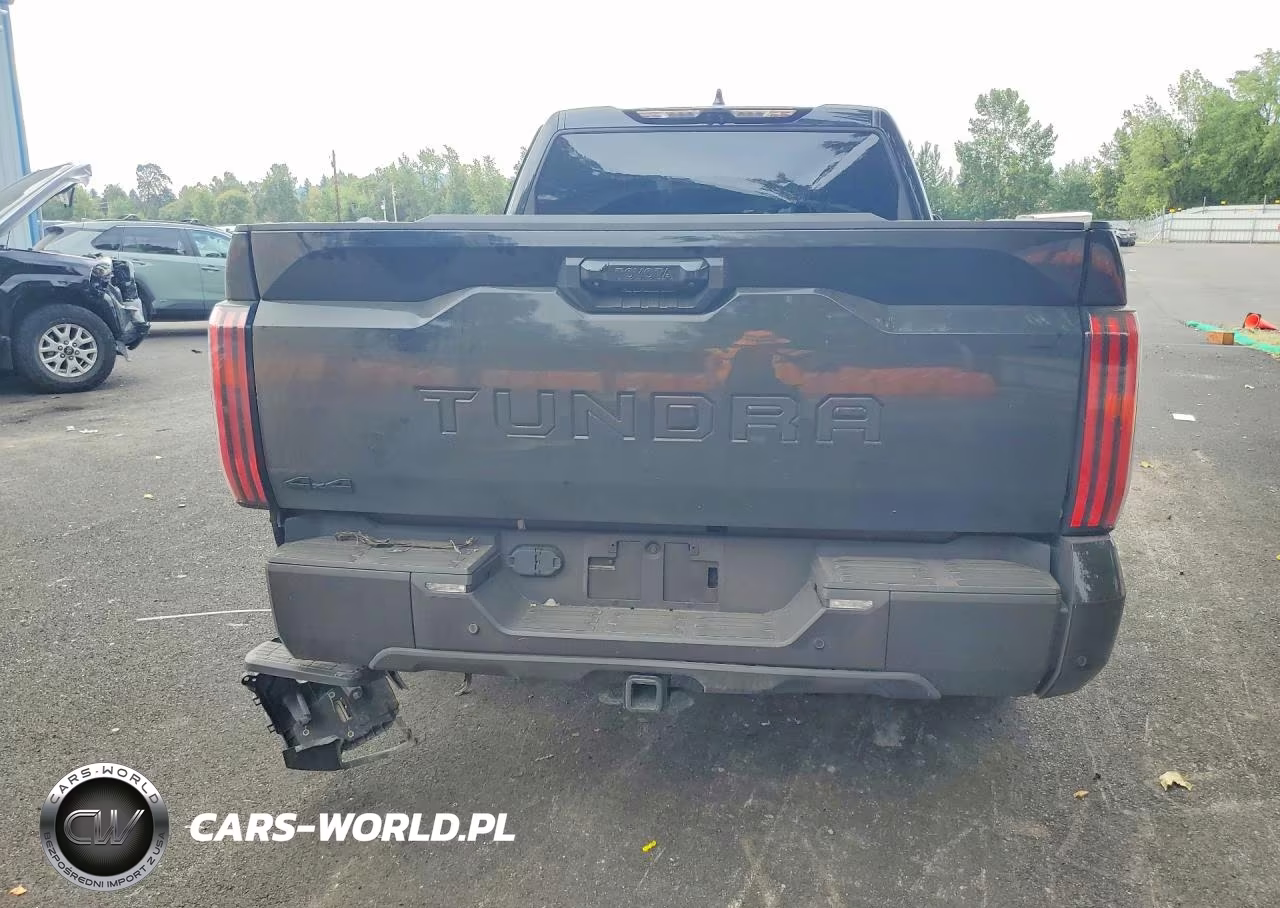 2025 Toyota Tundra Limited VIN:5TFWA5EC1SX045384 - 6