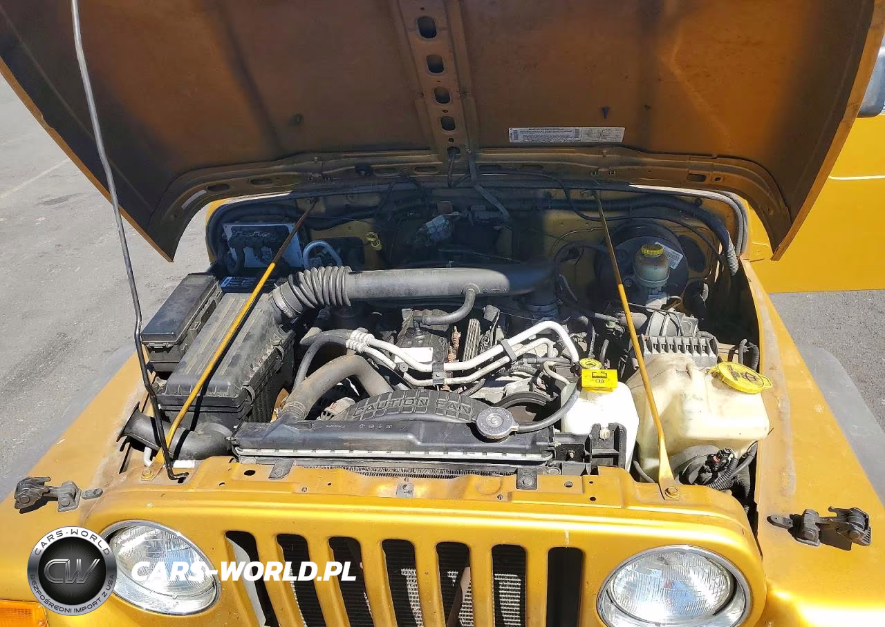 2003 Jeep Wrangler - Tj Sport VIN:1J4FA49S53P308354 - 11