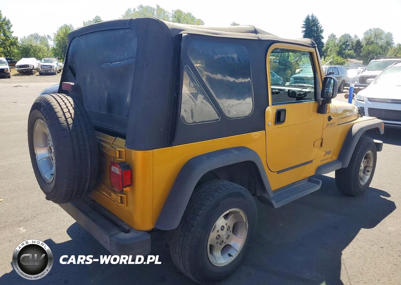 2003 Jeep Wrangler - Tj Sport VIN:1J4FA49S53P308354 - 3