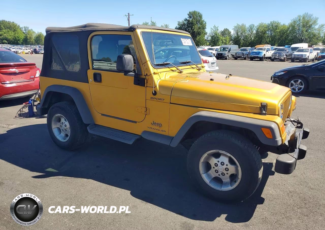 2003 Jeep Wrangler - Tj Sport VIN:1J4FA49S53P308354 - 4