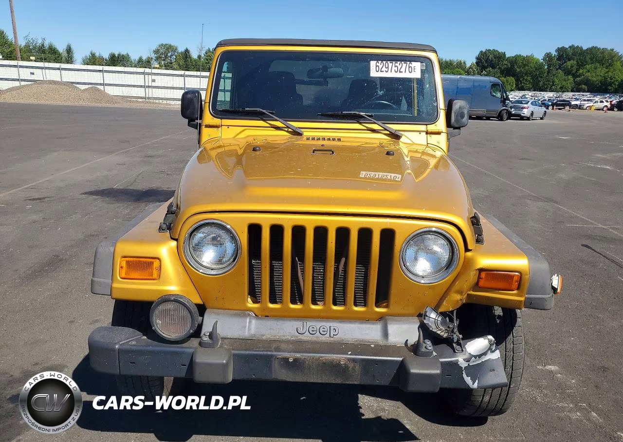 2003 Jeep Wrangler - Tj Sport VIN:1J4FA49S53P308354 - 5