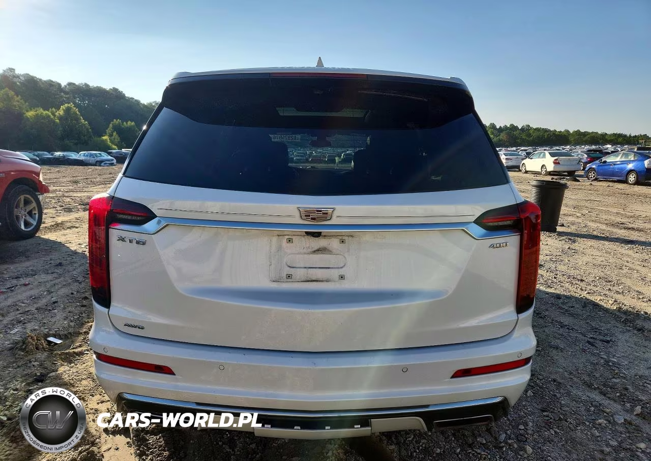 2020 Cadillac Xt6 Premium Luxury VIN:1GYKPDRS3LZ146984 - 6