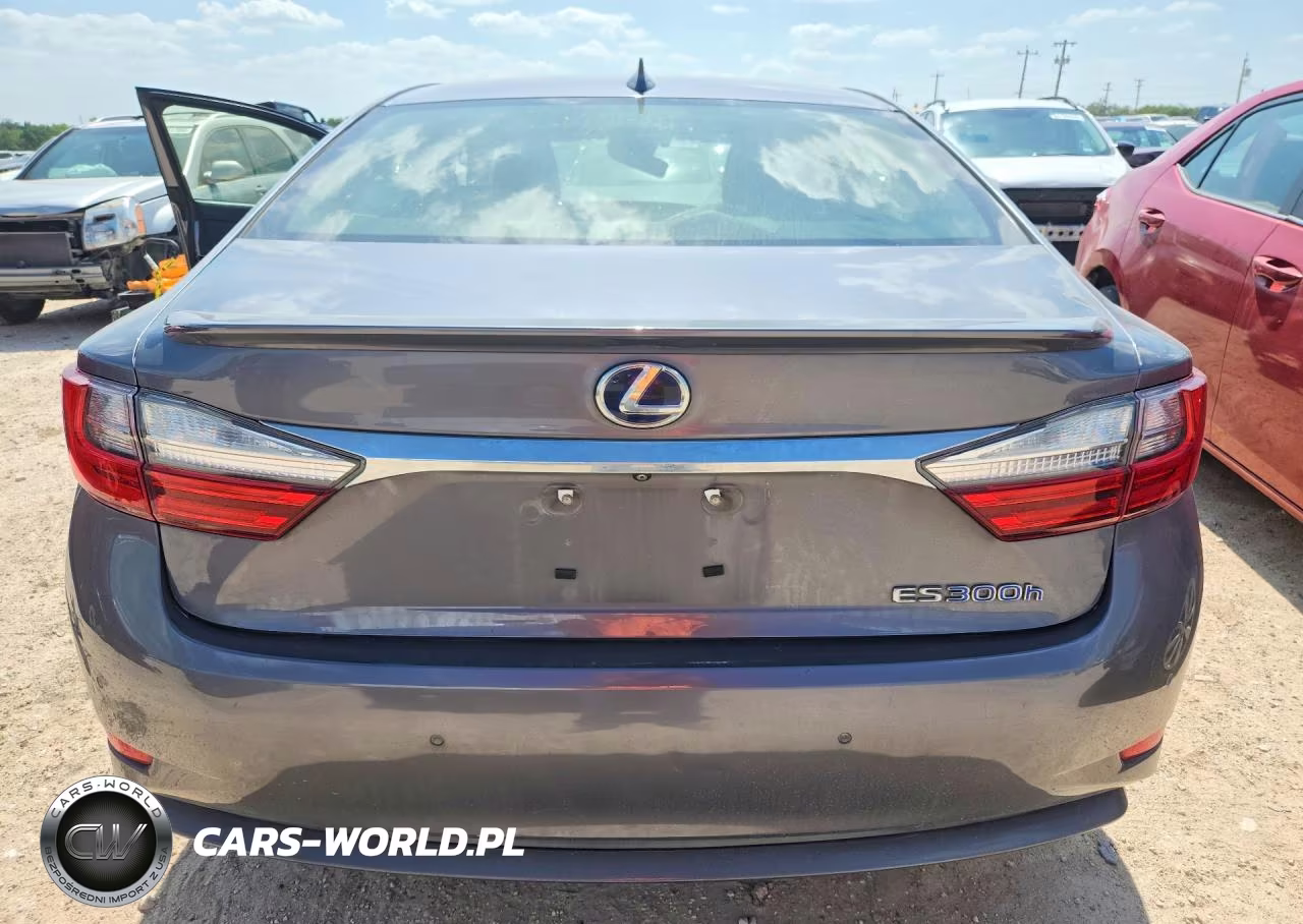 2018 Lexus Es 300H VIN:JTHBW1GG1J2184711 - 6