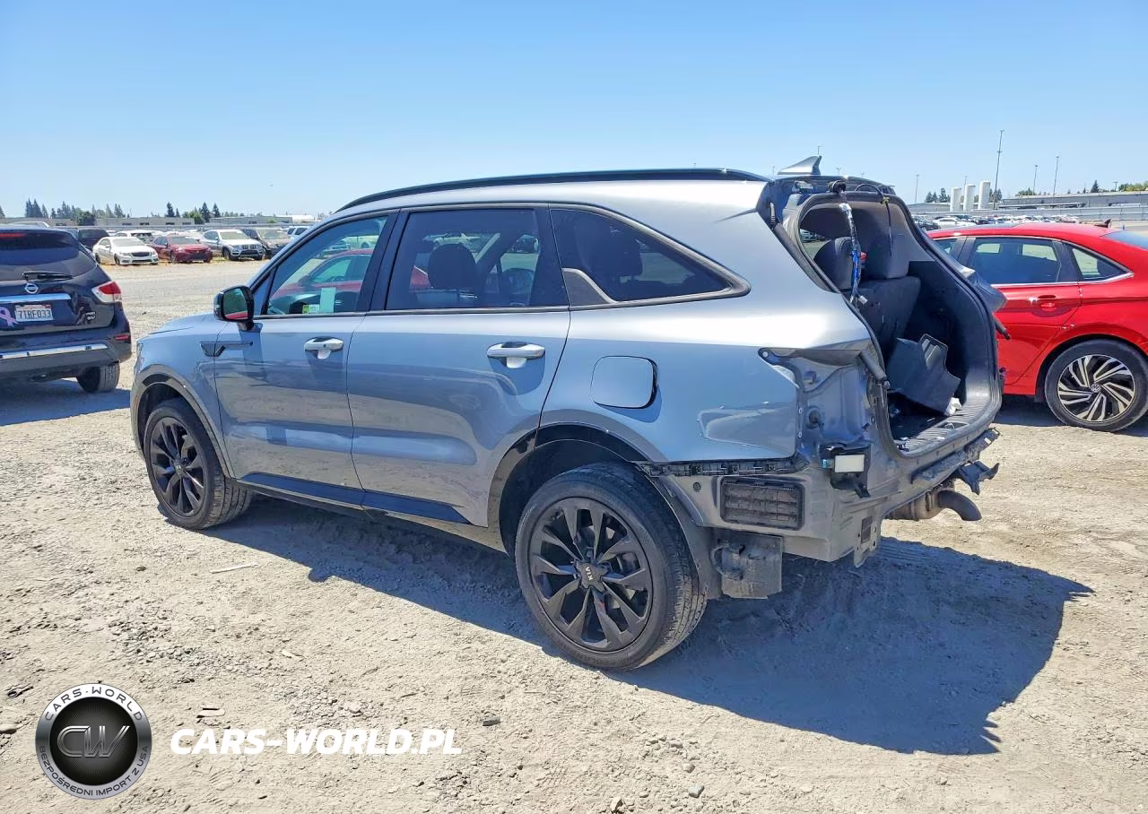 2021 Kia Sorento Sx VIN:5XYRKDLF2MG054490 - 2