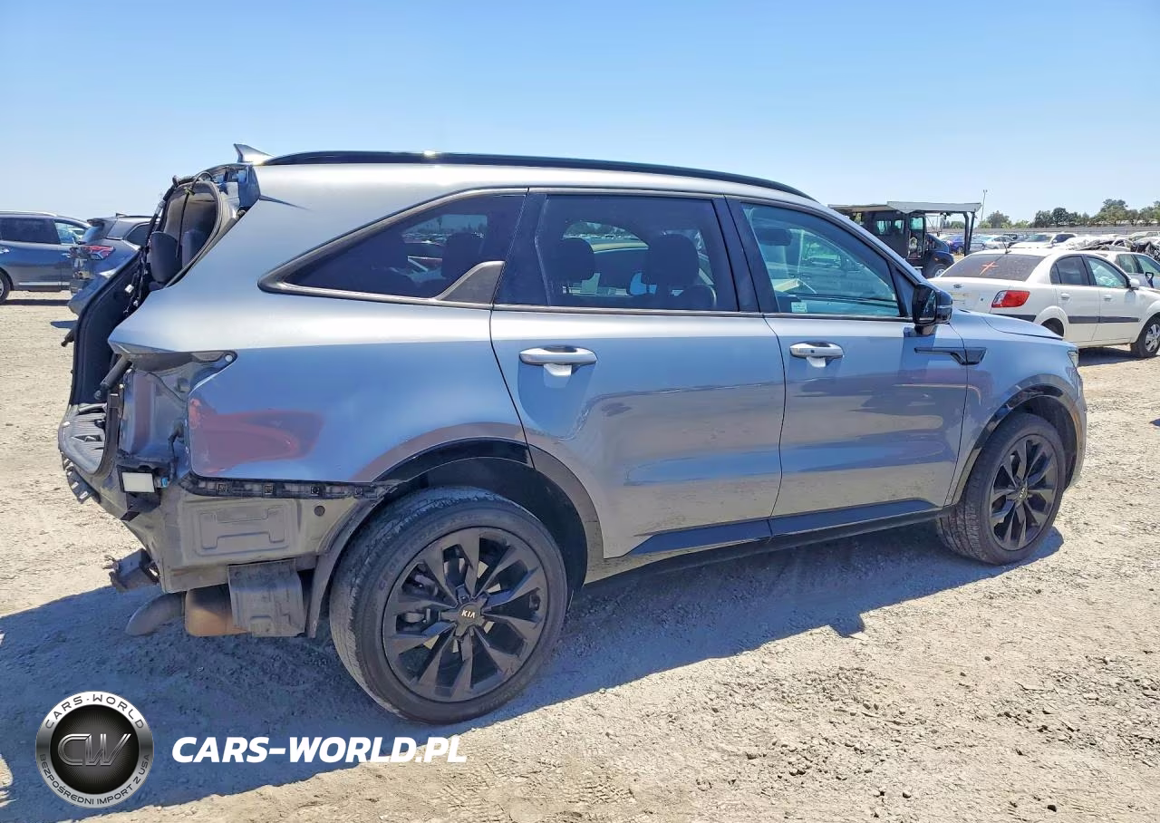 2021 Kia Sorento Sx VIN:5XYRKDLF2MG054490 - 3