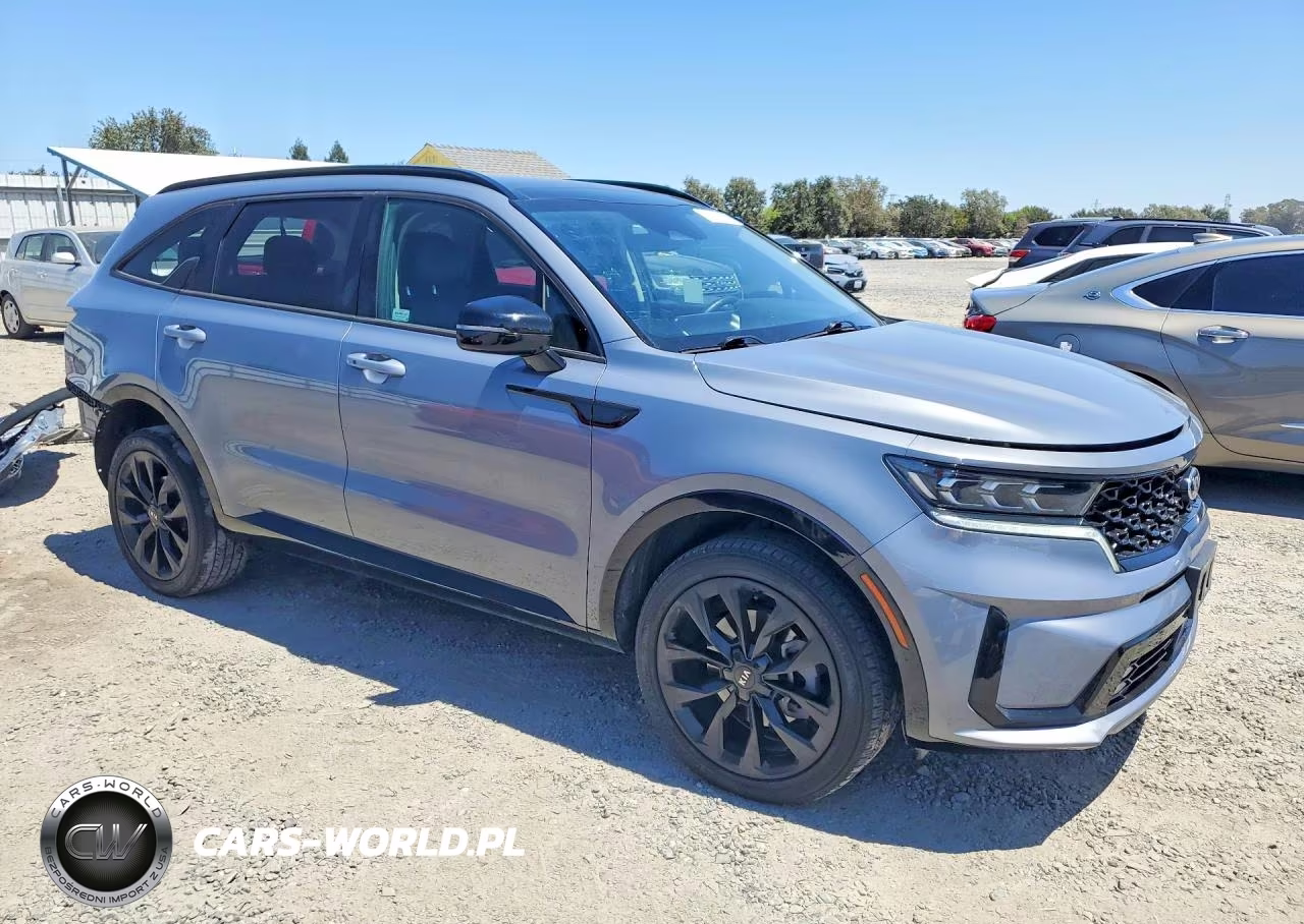 2021 Kia Sorento Sx VIN:5XYRKDLF2MG054490 - 4
