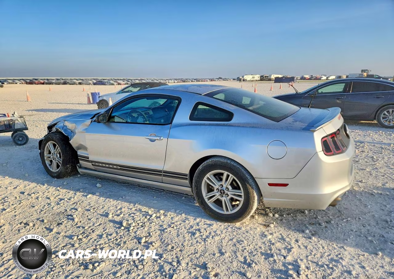 2013 Ford Mustang VIN:1ZVBP8AM0D5200788 - 2