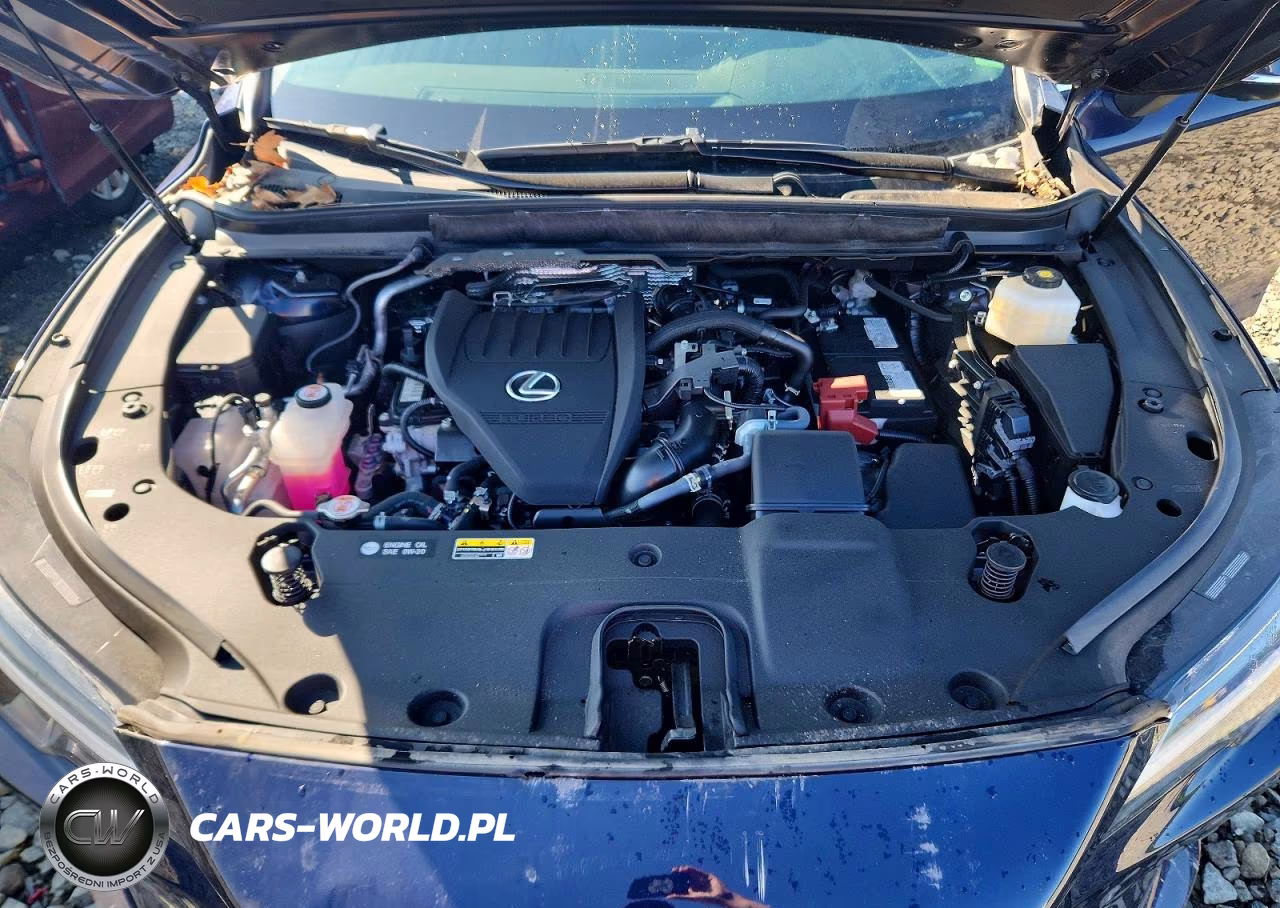 2024 Lexus Rx 350 Premium VIN:2T2BAMCA4RC085845 - 12
