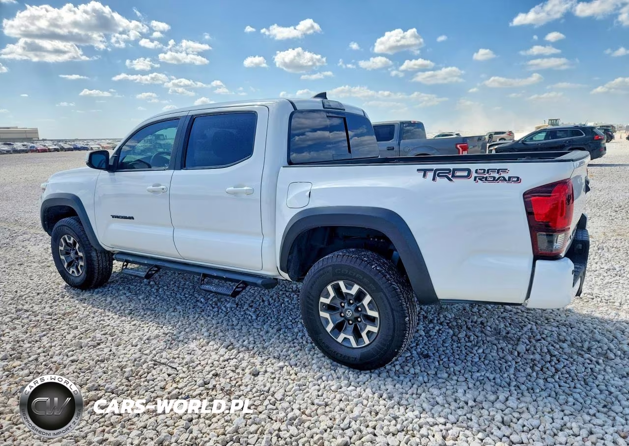2019 Toyota Tacoma Trd Off-Road VIN:3TMAZ5CN4KM082443 - 2