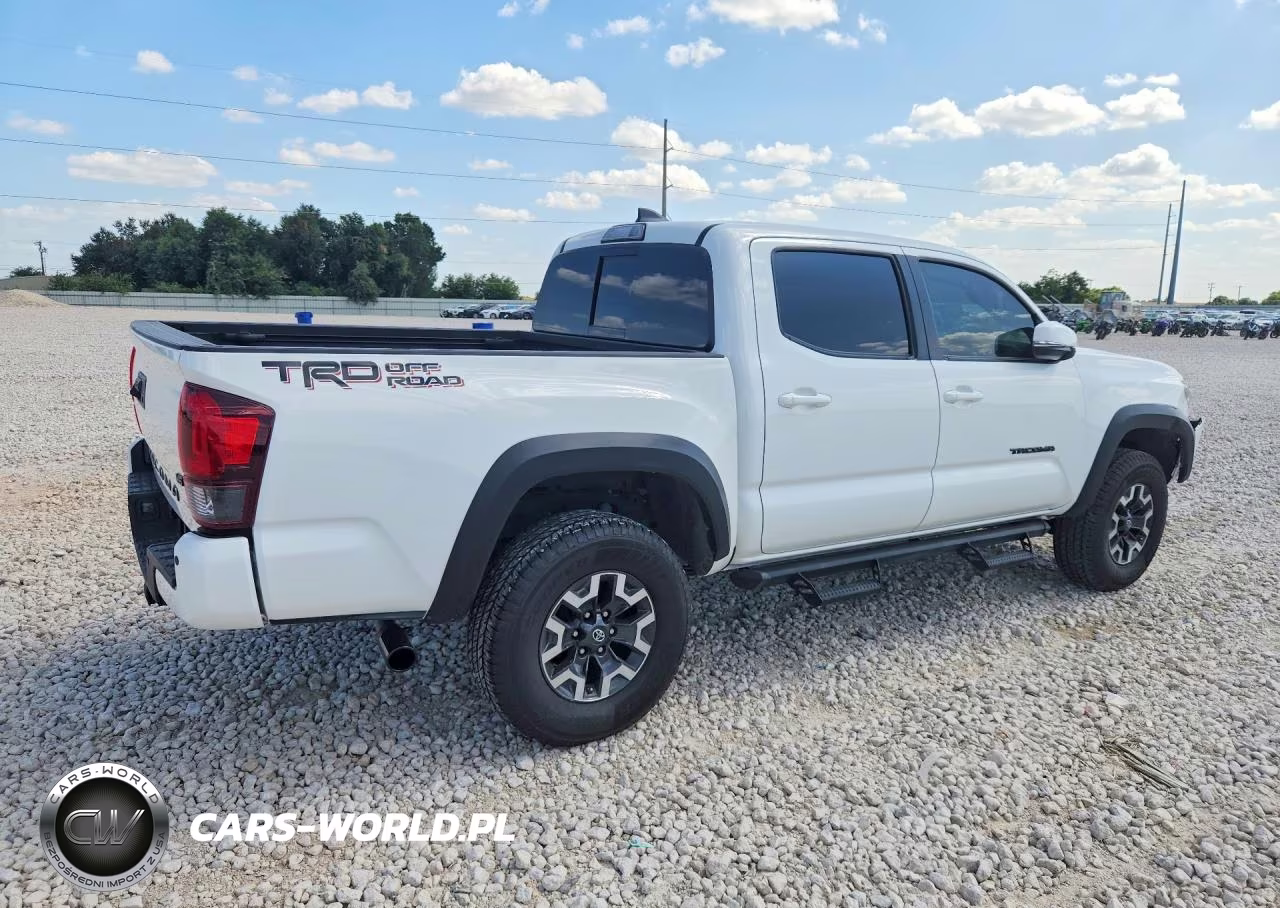 2019 Toyota Tacoma Trd Off-Road VIN:3TMAZ5CN4KM082443 - 3