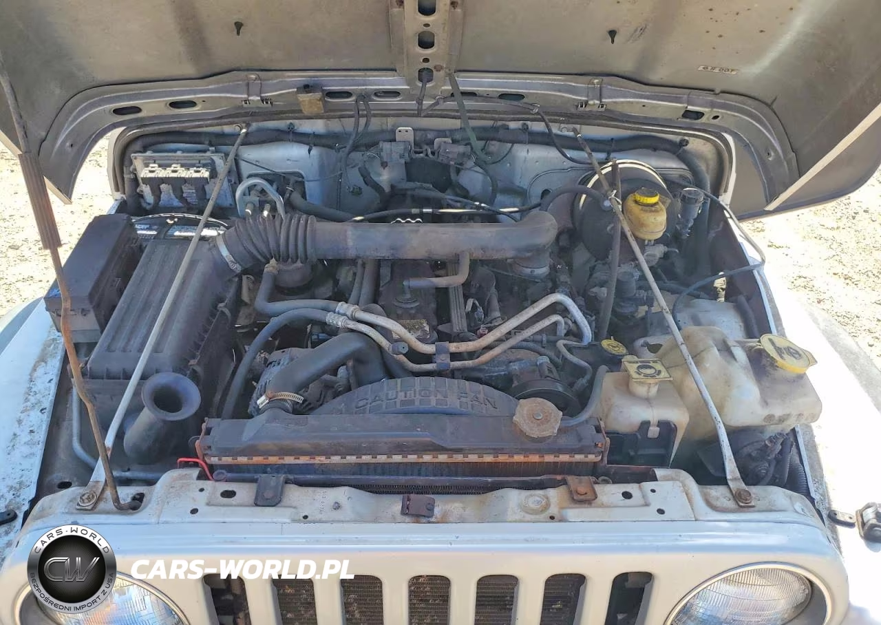 2004 Jeep Wrangler - Tj Sport VIN:1J4FA49S04P745096 - 11