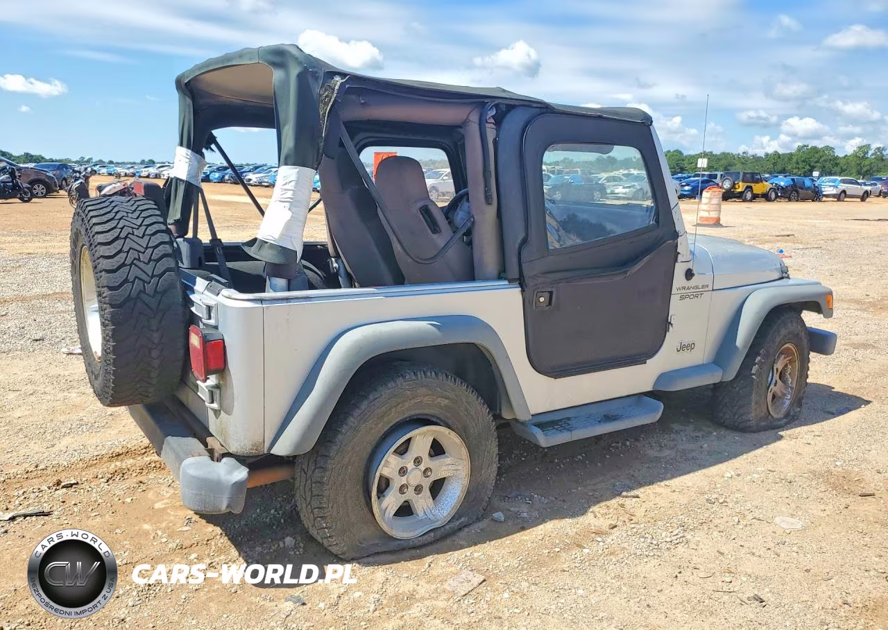 2004 Jeep Wrangler - Tj Sport VIN:1J4FA49S04P745096 - 3
