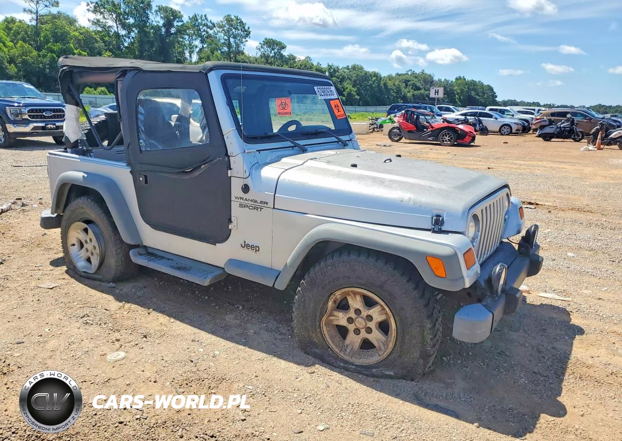 2004 Jeep Wrangler - Tj Sport VIN:1J4FA49S04P745096 - 4