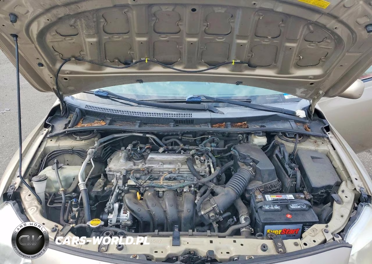 2009 Toyota Corolla Xle VIN:2T1BU40E69C118394 - 11