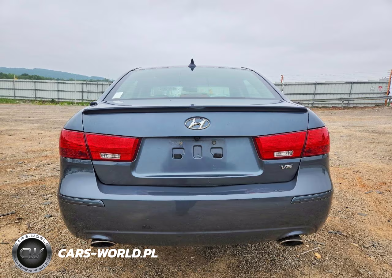 2010 Hyundai Sonata Se V6 VIN:5NPEU4AF3AH601637 - 6