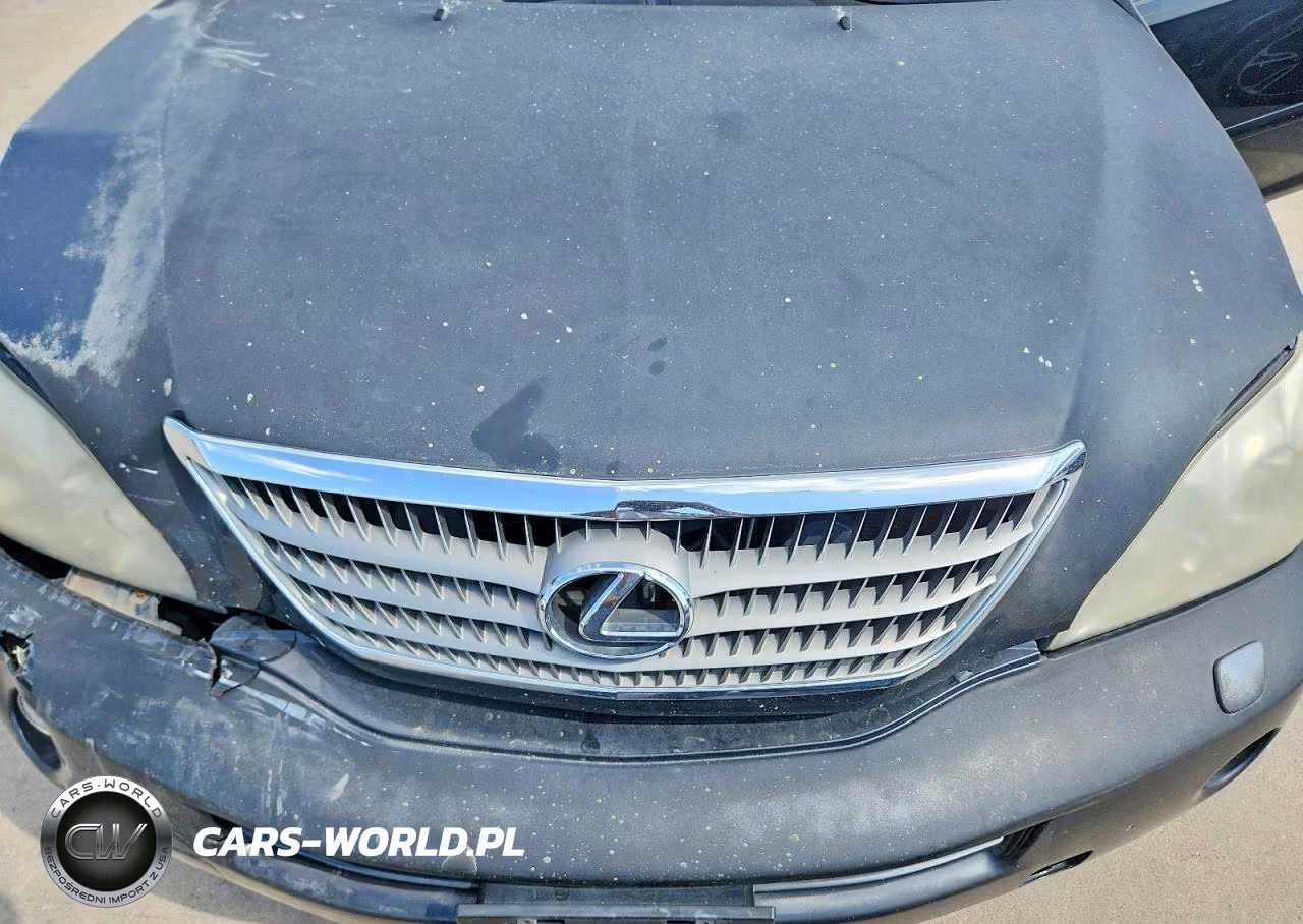 2008 Lexus Rx 400H VIN:JTJHW31UX82070137 - 12