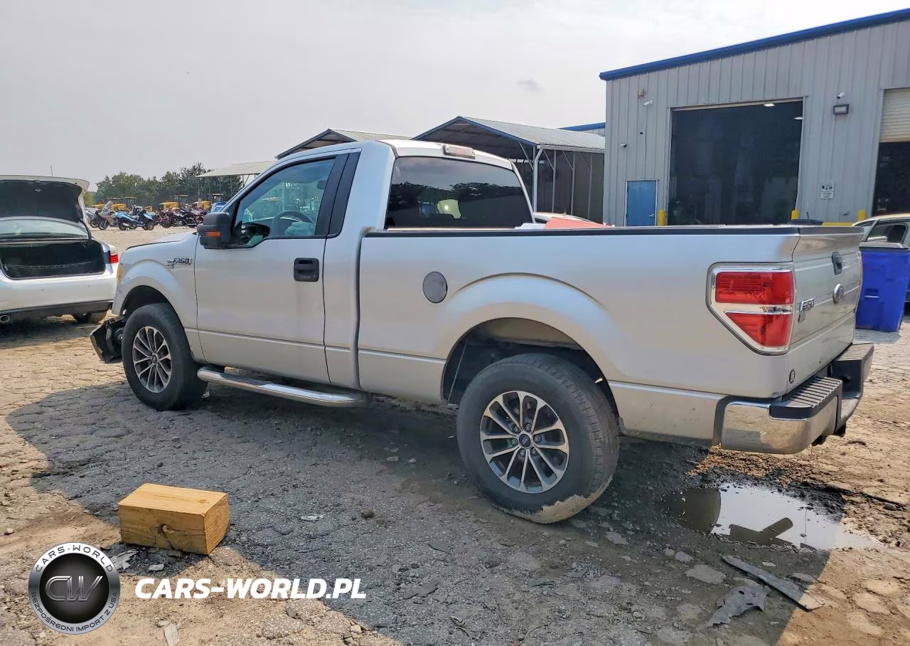 2010 Ford F150 VIN:1FTMF1CWXAFD38266 - 2