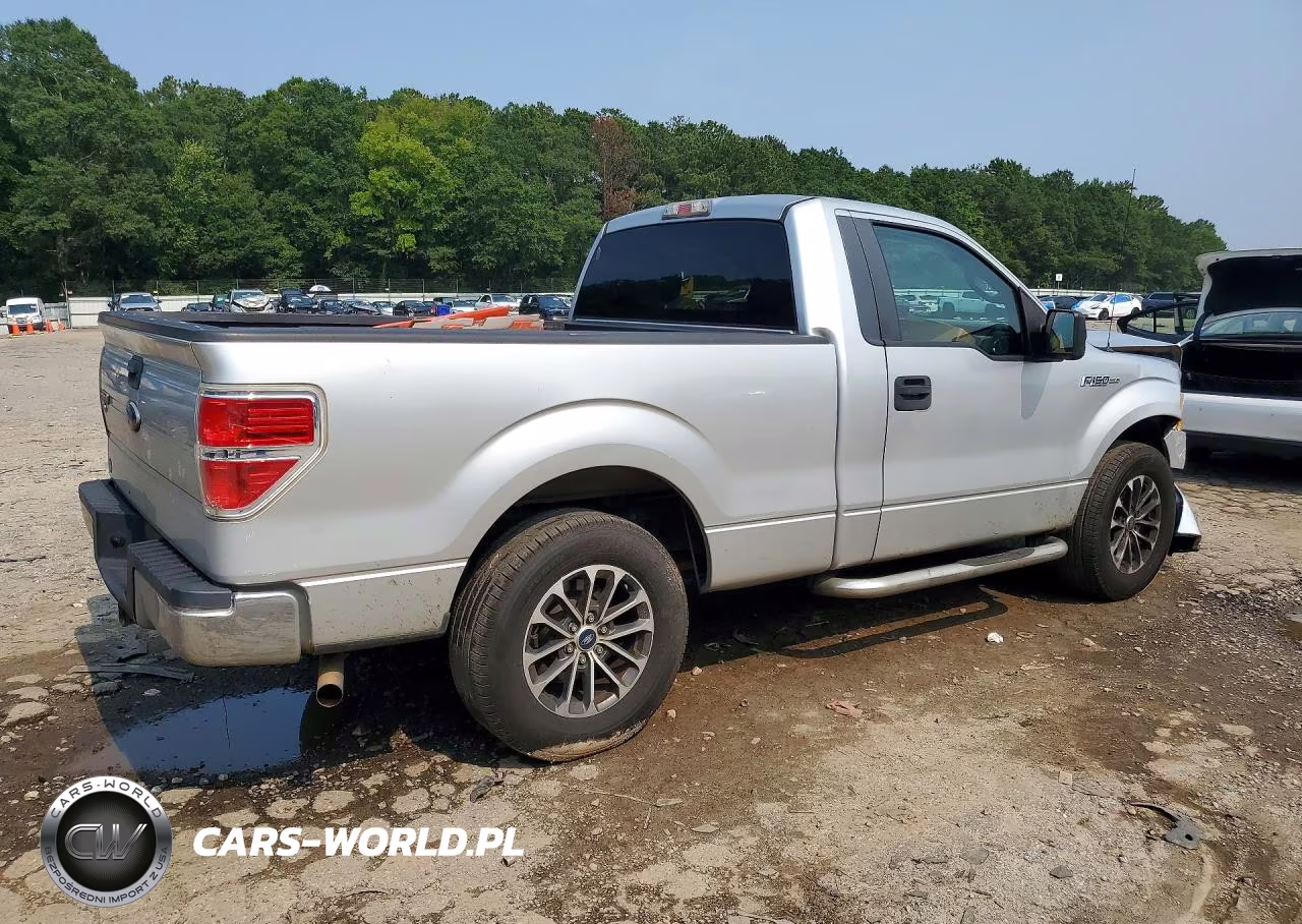 2010 Ford F150 VIN:1FTMF1CWXAFD38266 - 3