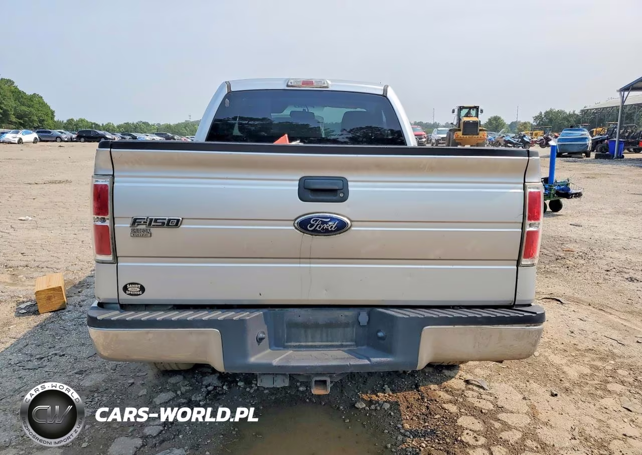 2010 Ford F150 VIN:1FTMF1CWXAFD38266 - 6