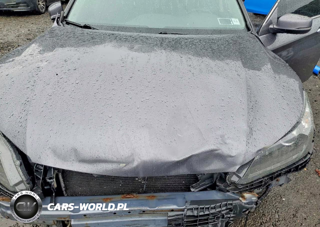 2013 Honda Accord Exl VIN:1HGCR2F84DA148486 - 11