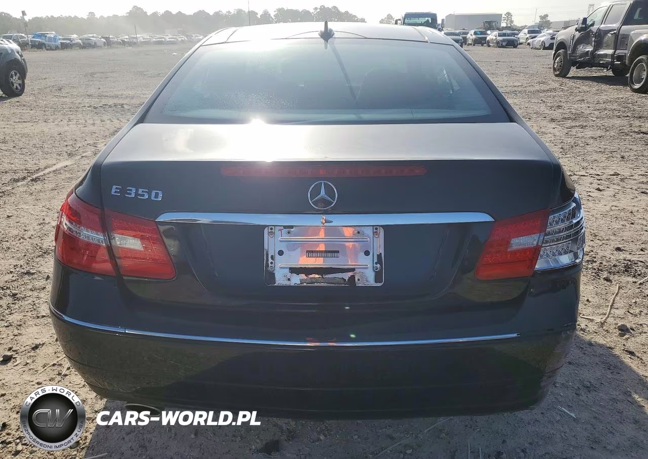 2010 Mercedes-Benz E 350 VIN:WDDKJ5GB4AF040077 - 6