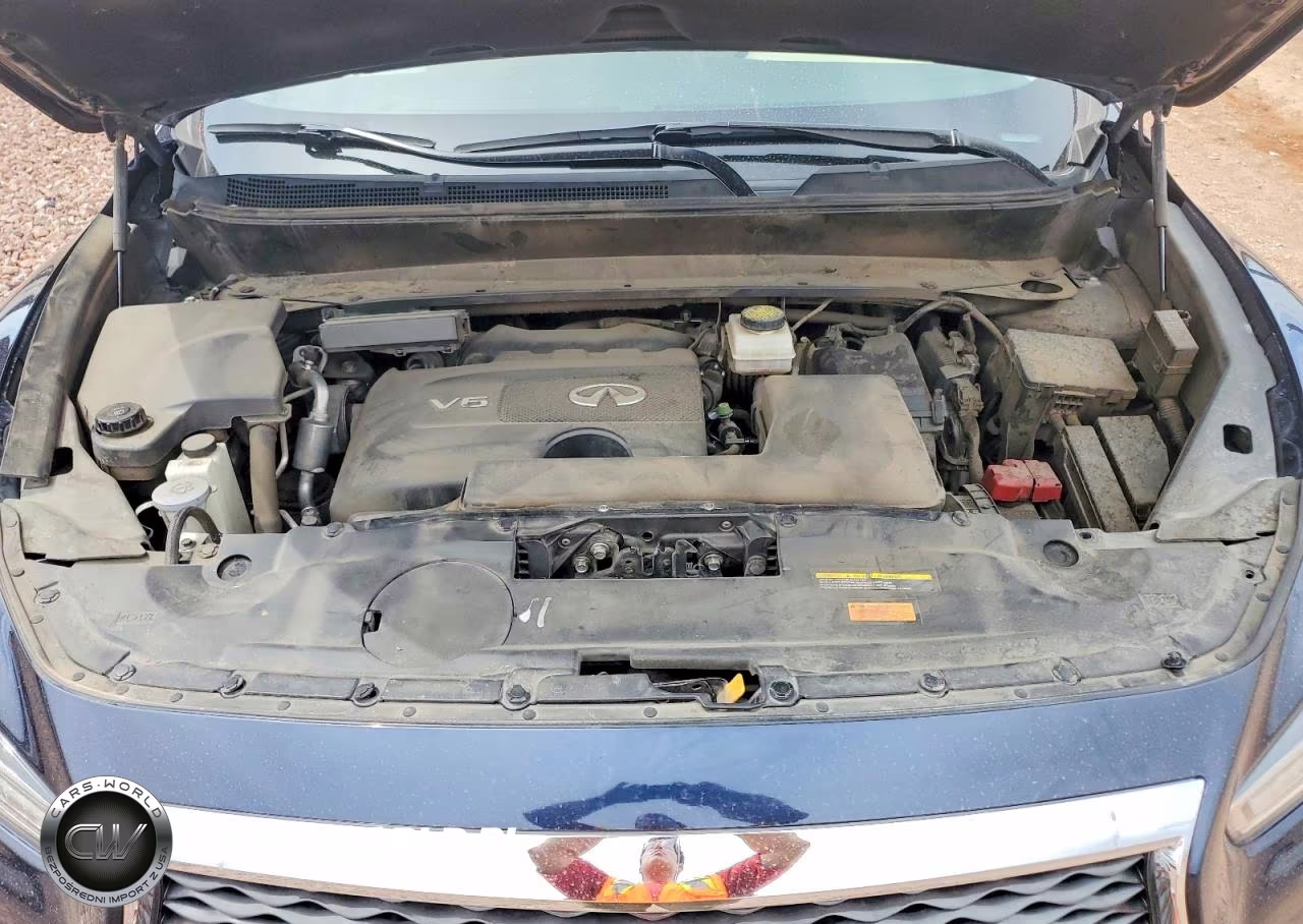 2019 Infiniti Qx60 Pure VIN:5N1DL0MNXKC500078 - 12