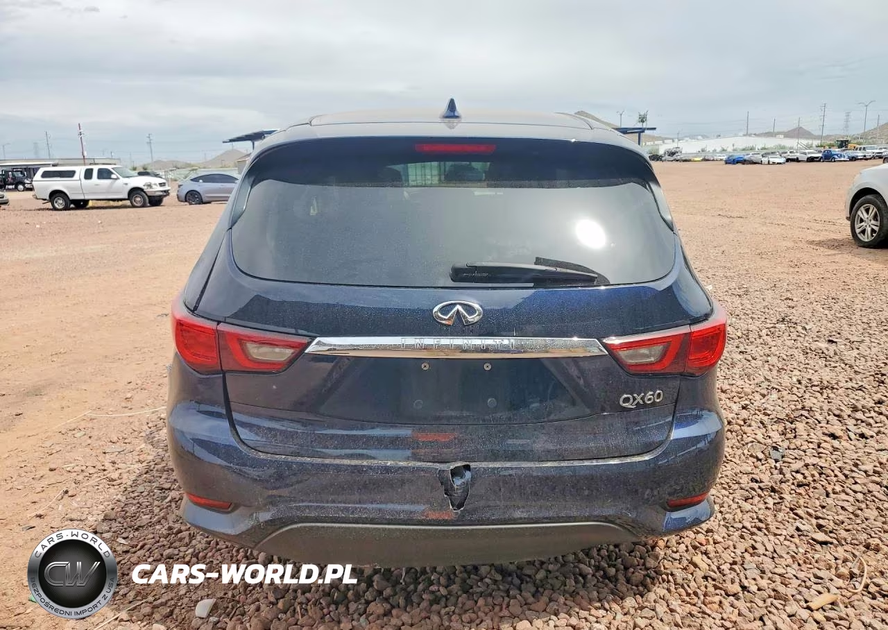 2019 Infiniti Qx60 Pure VIN:5N1DL0MNXKC500078 - 6