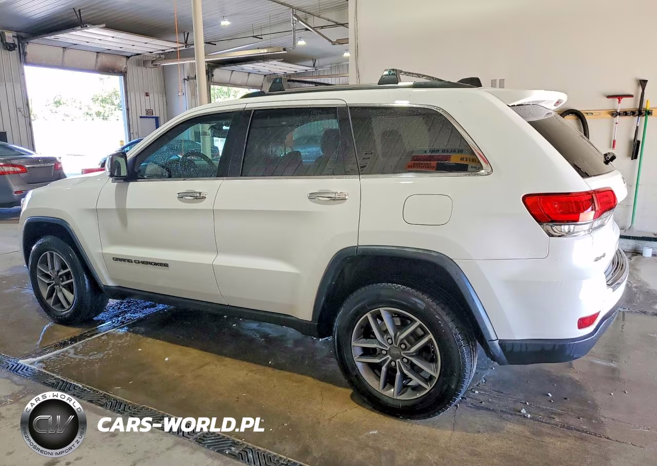 2019 Jeep Grand Cherokee Limited VIN:1C4RJFBG8KC787699 - 2