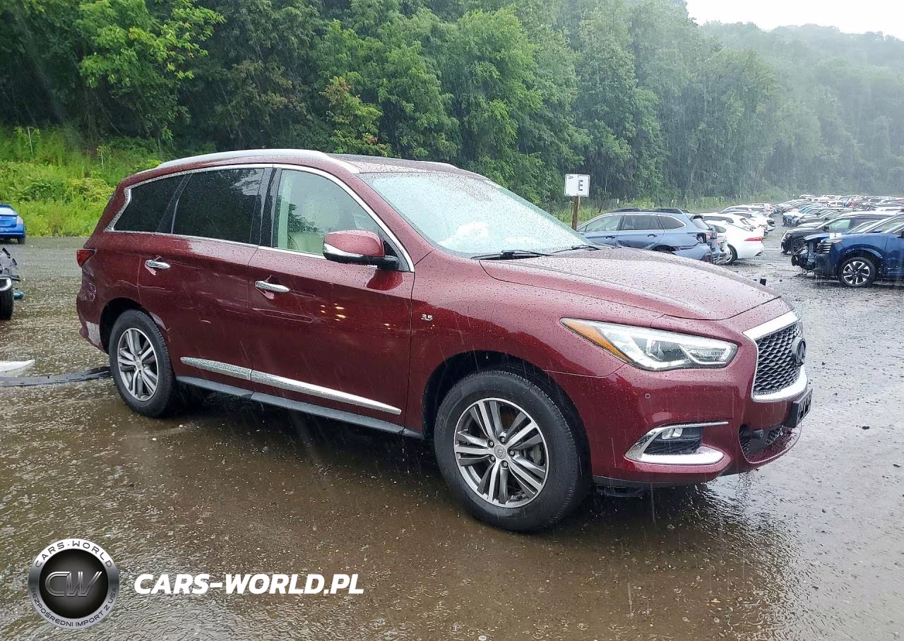 2020 Infiniti Qx60 Luxe VIN:5N1DL0MM0LC512006 - 4