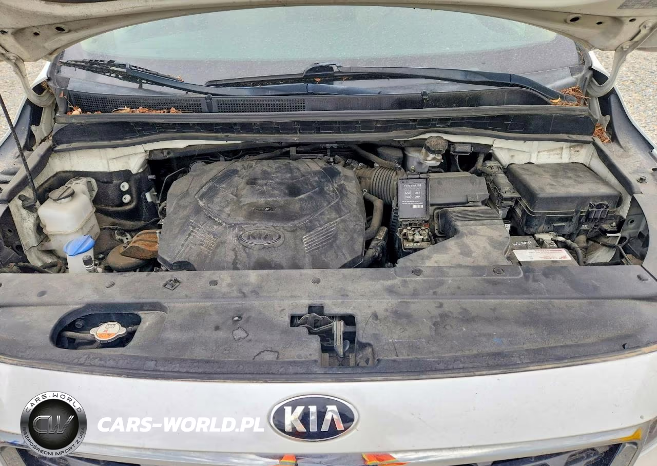 2019 Kia Sedona Ex VIN:KNDMB5C18K6515163 - 12