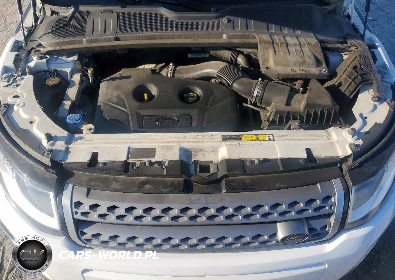 2017 Land Rover Range Rover Evoque Se VIN:SALVP2BG4HH187062 - 12