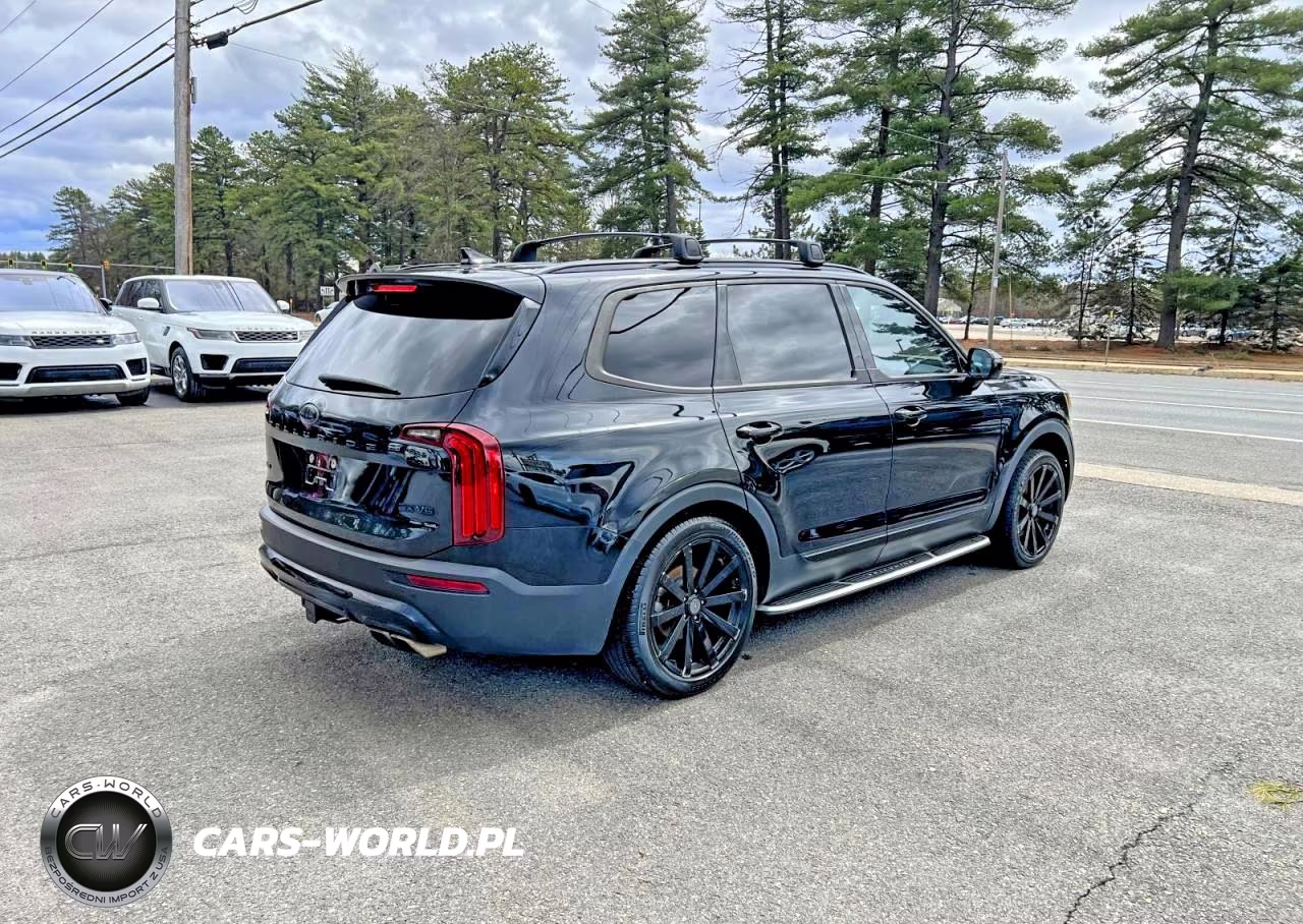 2021 Kia Telluride Sx VIN:5XYP5DHC3MG161769 - 4