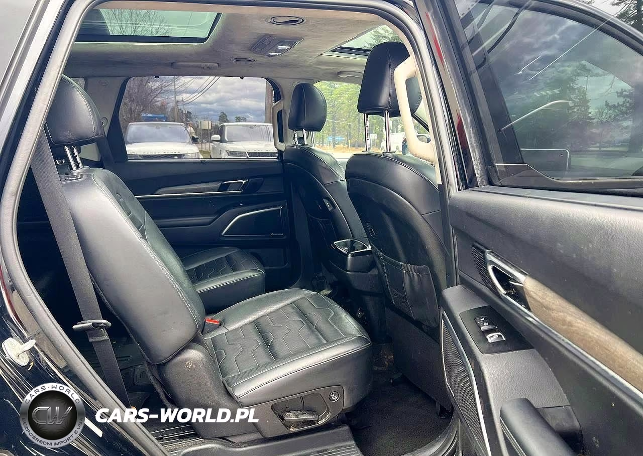2021 Kia Telluride Sx VIN:5XYP5DHC3MG161769 - 6