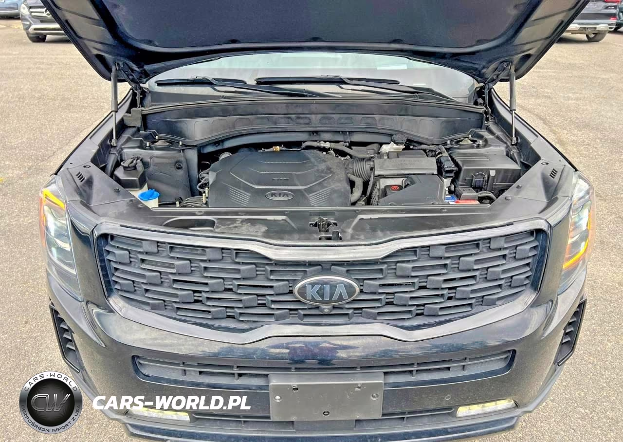 2021 Kia Telluride Sx VIN:5XYP5DHC3MG161769 - 8