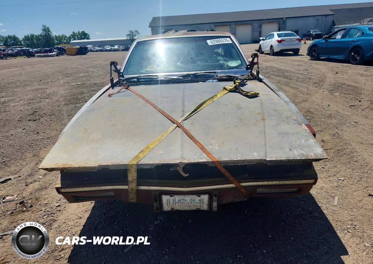 1981 Chevrolet Monte Carlo VIN:1G1AZ37K8BK510051 - 5