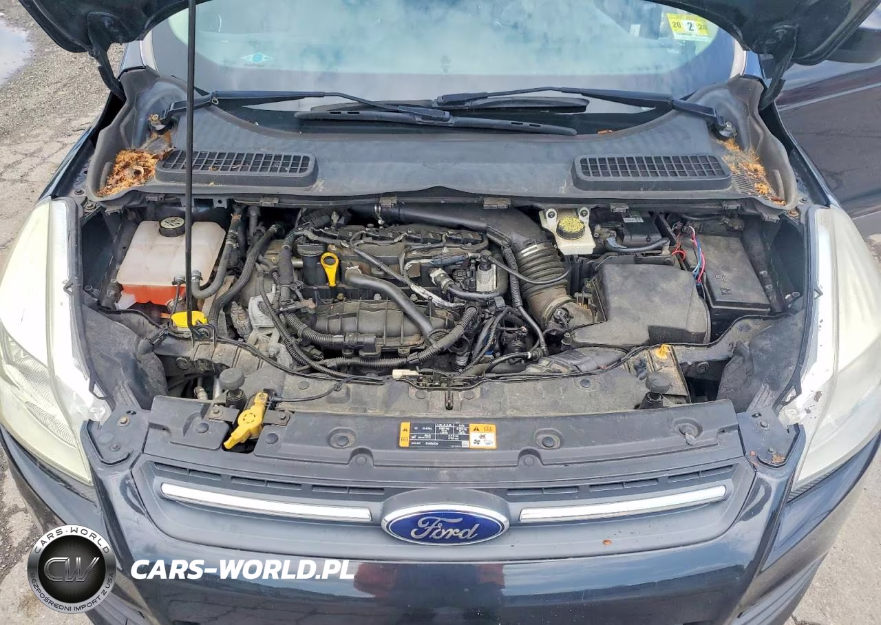2014 Ford Escape Se VIN:1FMCU9GX8EUC80805 - 12