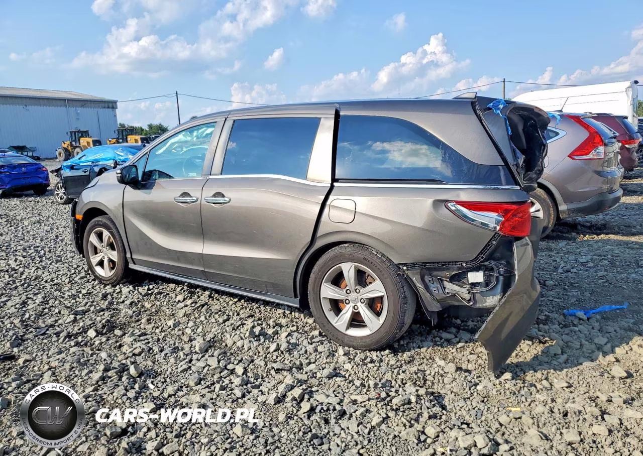 2019 Honda Odyssey VIN:5FNRL6H73KB110600 - 2