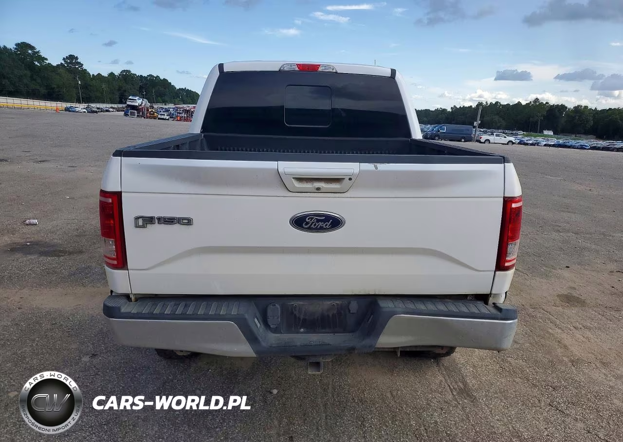 2017 Ford F150 Supercrew VIN:1FTEW1EF3HKC20224 - 6
