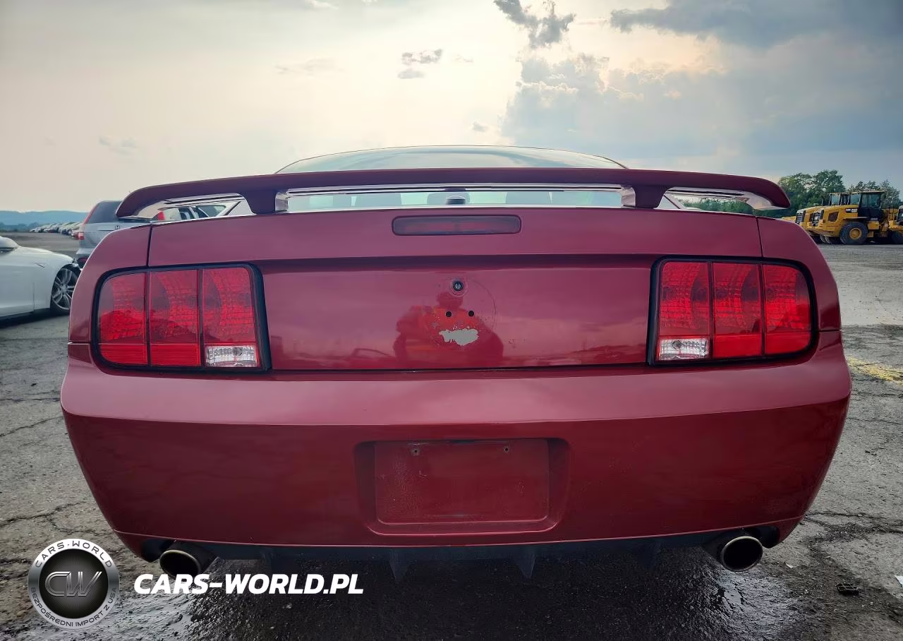 2008 Ford Mustang Gt VIN:1ZVHT82H485111318 - 6