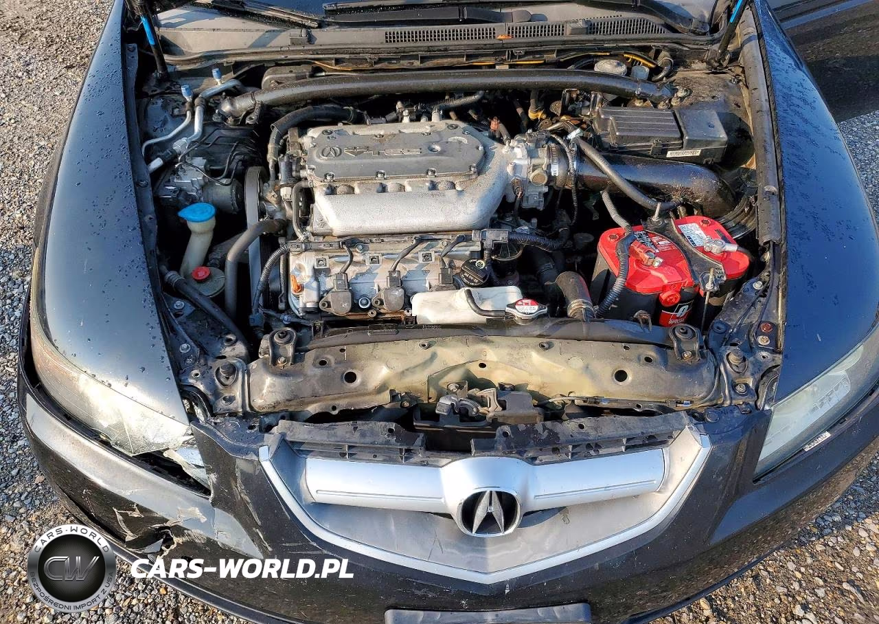 2006 Acura 3.2Tl VIN:19UUA65566A074744 - 11