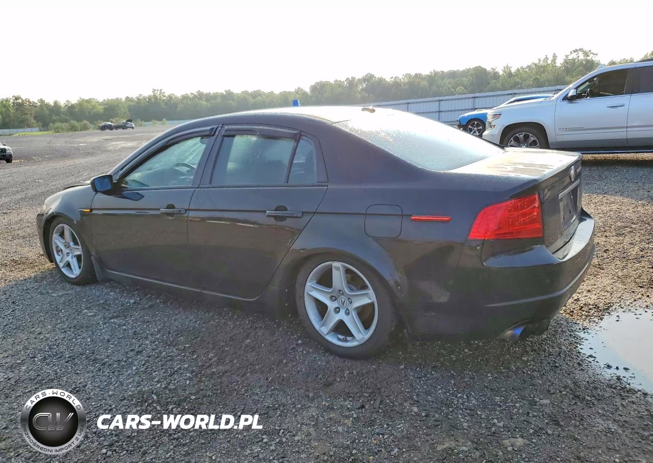 2006 Acura 3.2Tl VIN:19UUA65566A074744 - 2