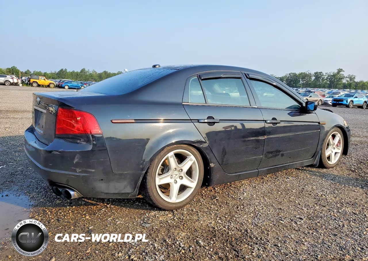 2006 Acura 3.2Tl VIN:19UUA65566A074744 - 3