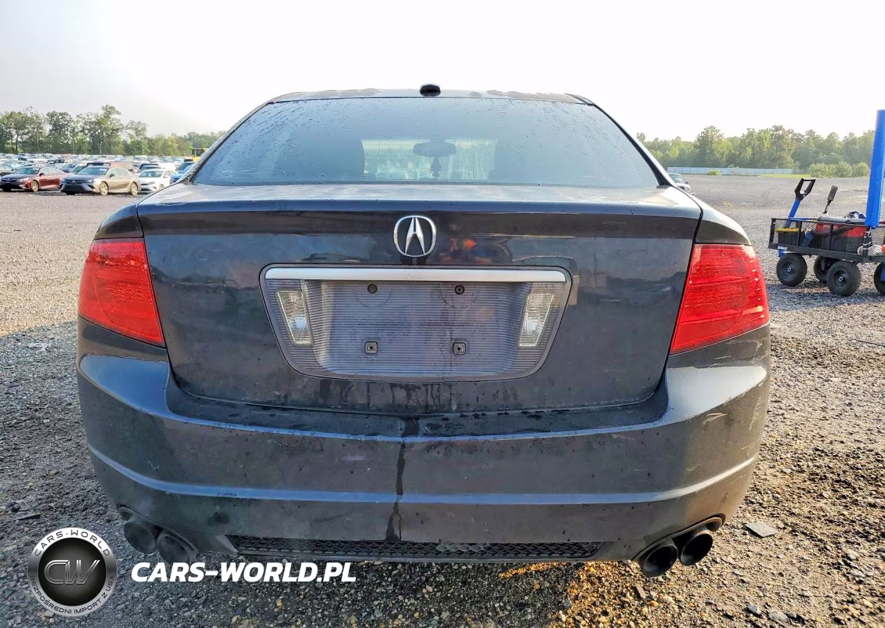 2006 Acura 3.2Tl VIN:19UUA65566A074744 - 6