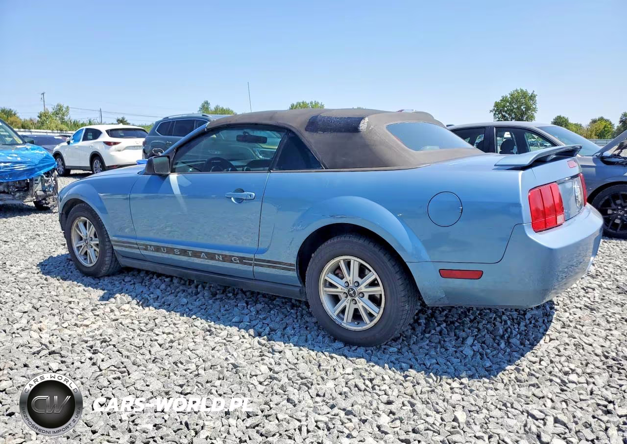 2006 Ford Mustang VIN:1ZVFT84NX65230269 - 2