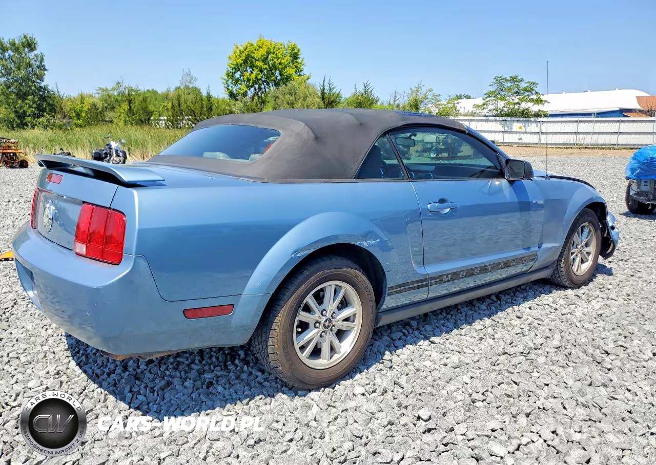 2006 Ford Mustang VIN:1ZVFT84NX65230269 - 3