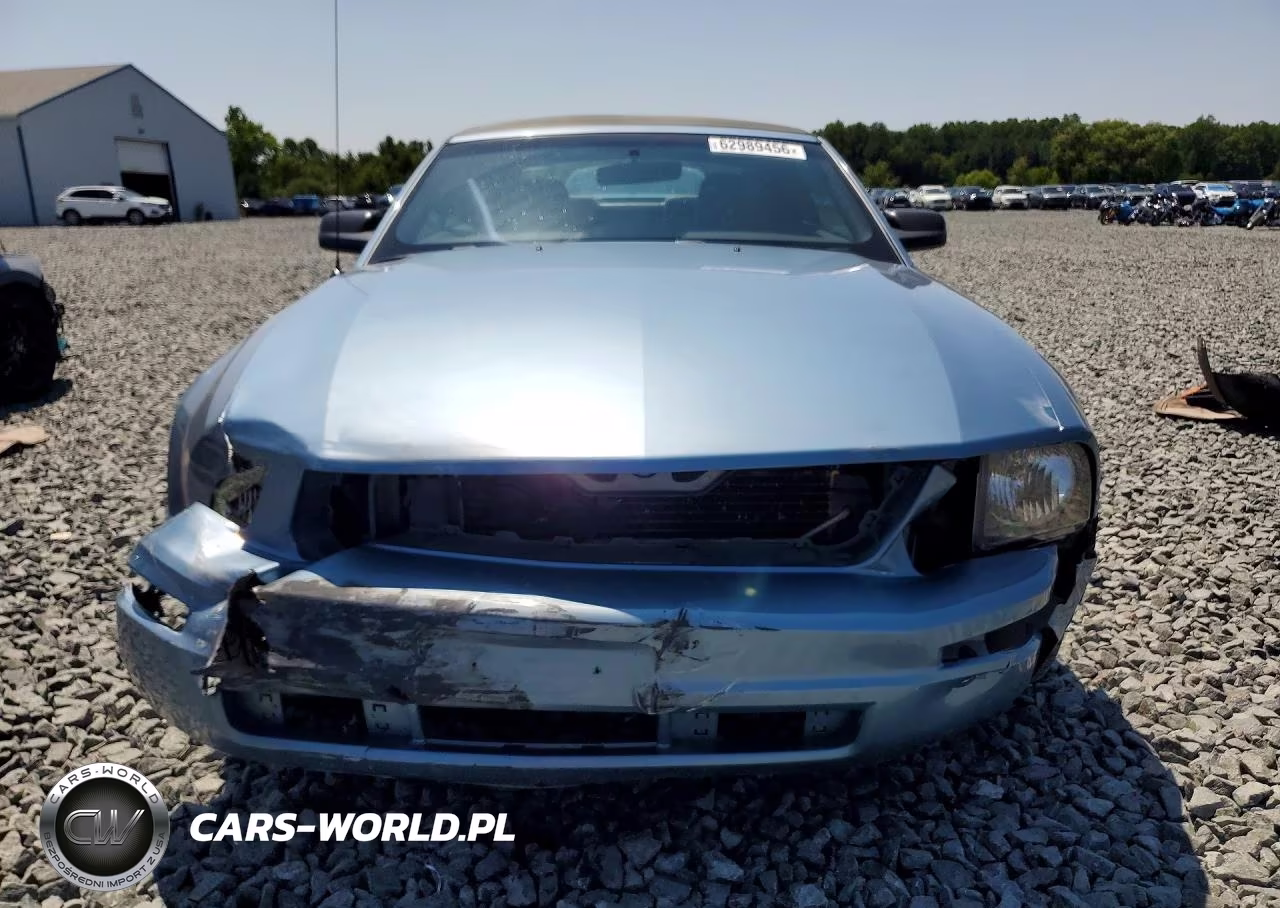 2006 Ford Mustang VIN:1ZVFT84NX65230269 - 5