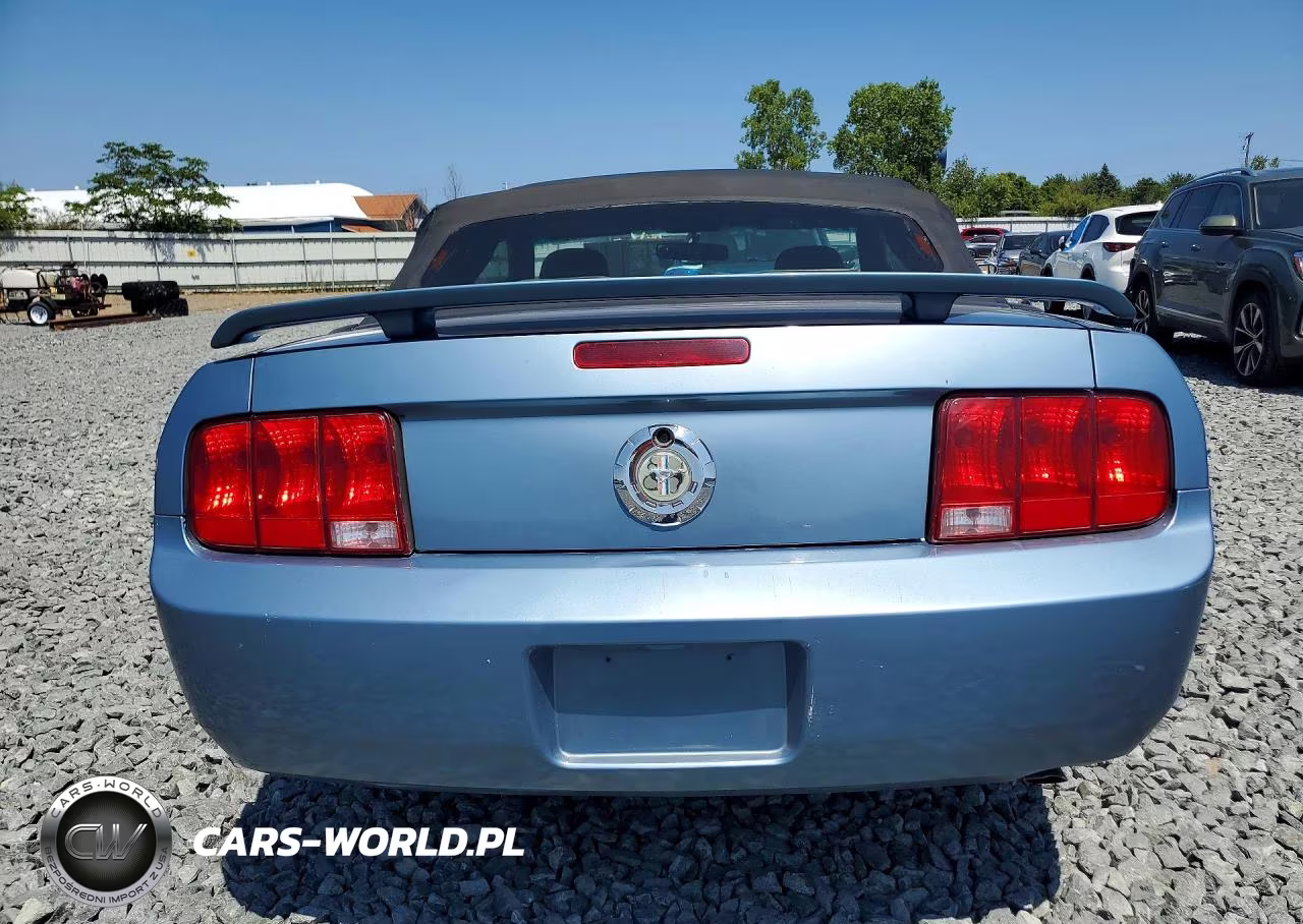 2006 Ford Mustang VIN:1ZVFT84NX65230269 - 6