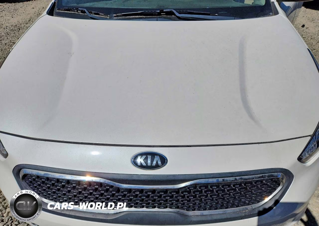 2018 Kia Niro Lx VIN:KNDCB3LC4J5204545 - 12