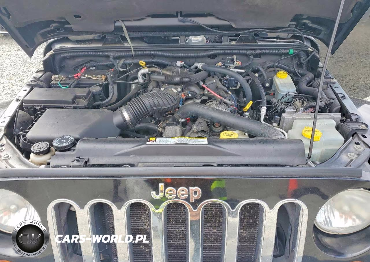 2010 Jeep Wrangler Unlimited Sahara VIN:1J4BA5H16AL115230 - 11